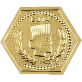 سکه پارسیان